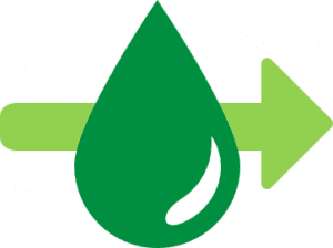 Support Healthy Blood Sugar Support Healthy Blood Sugar